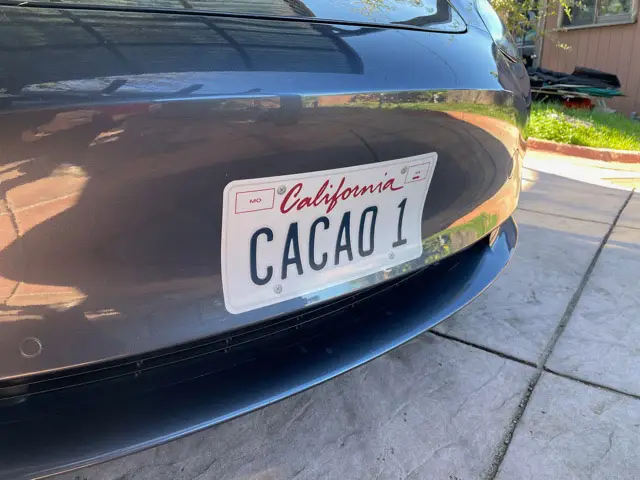 Adhesive license plate replica